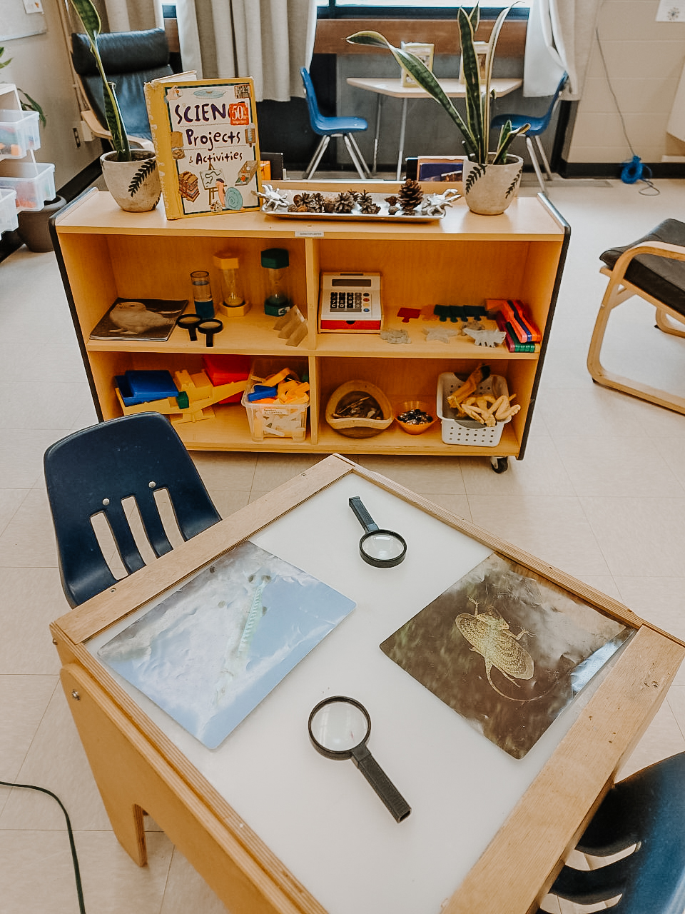 Child care in Northeast Edmonton- Delwood YMCA