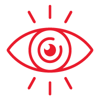 Our Vision Icon