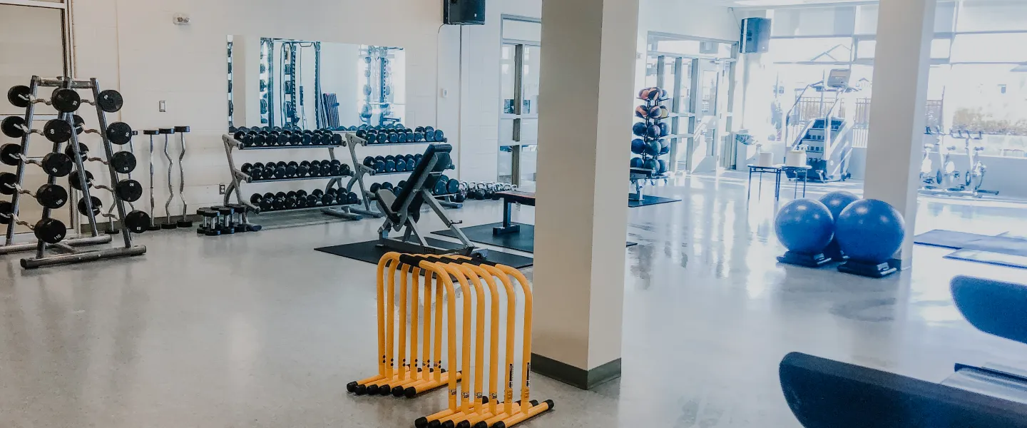 A sun-filled room with loads of fitness equiptment, including barbells, dumbbels, excersie balls, treadminds and more.