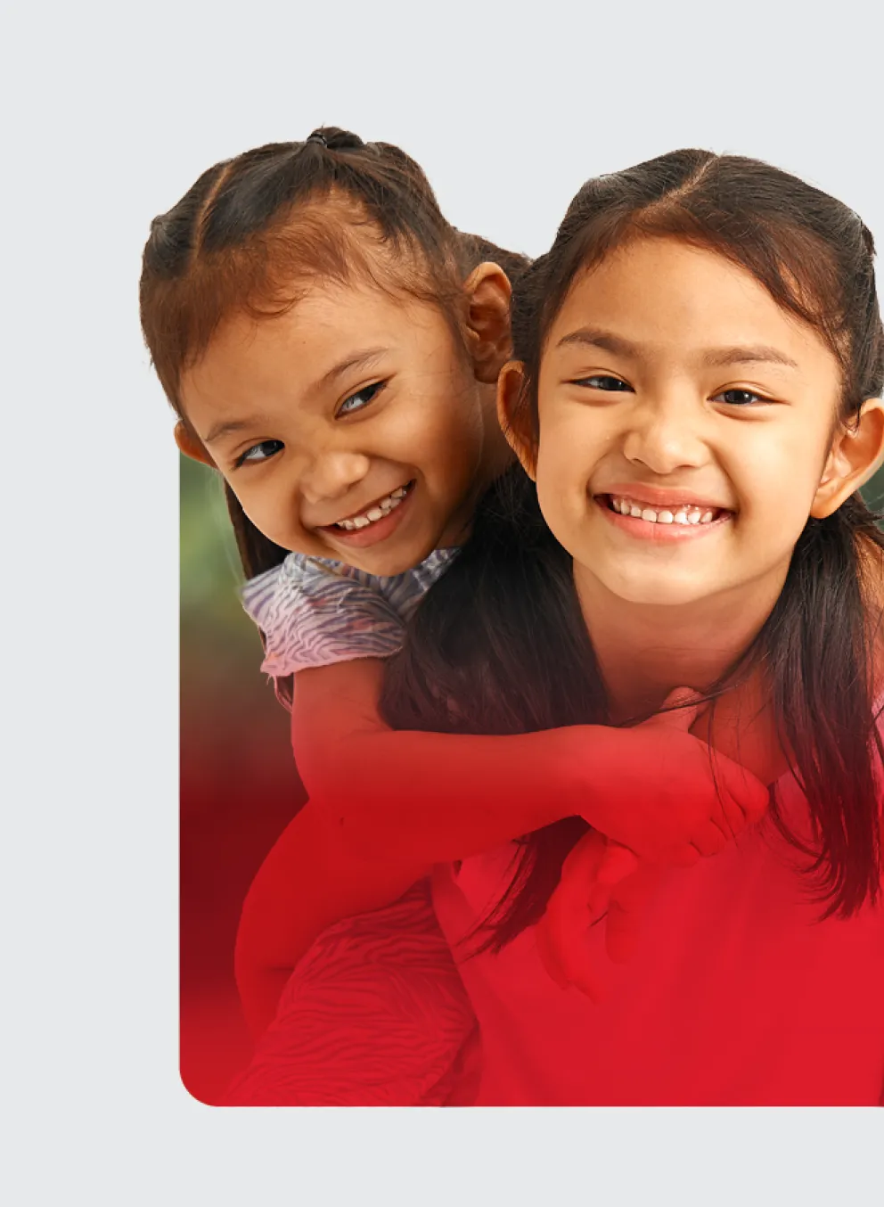 summer_appeal_website_banner